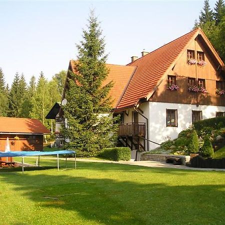Pension U Hacku Harrachov Exterior photo